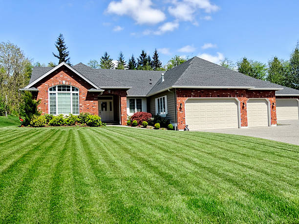 Beautiful freshly mowed lawn